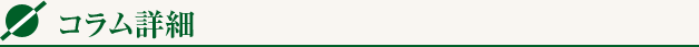 コラム一覧