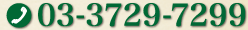 03-3729-7299