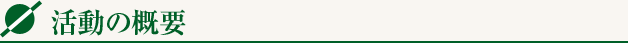 活動の概要